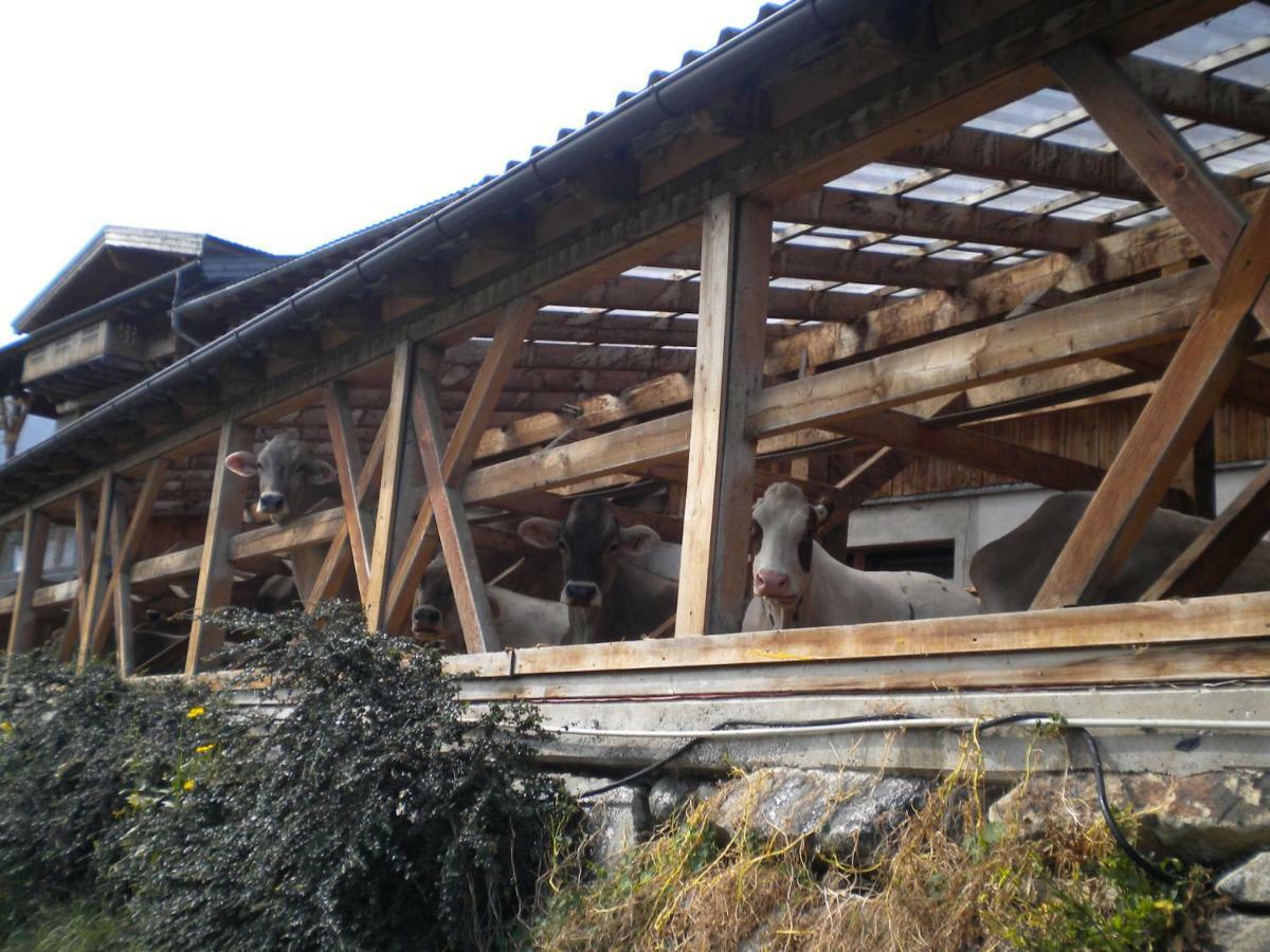 Weberhof Villa Trins Ngoại thất bức ảnh